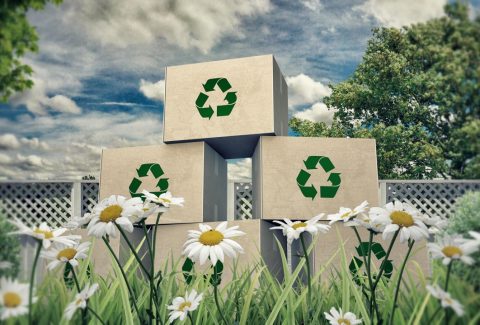Trailblazing Sustainability: A Career Dedicated to Ethical Commerce and Social Impact Trailblazing Sustainability: A Career Dedicated to Ethical Commerce and Social Impact