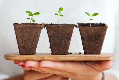 Senior Talent Must Adapt… But So Must Employers. Senior Talent Must Adapt… But So Must Employers.
